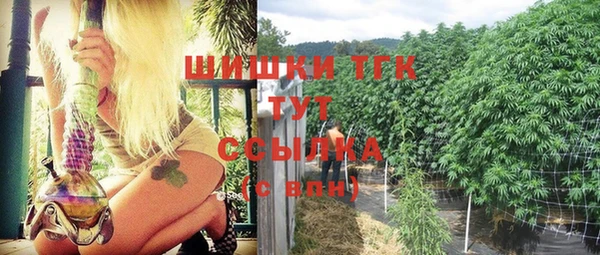 стафф Медвежьегорск