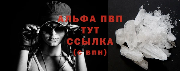 крисы Болохово