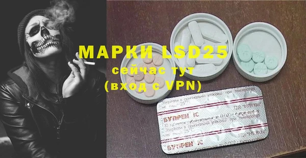 PSILOCYBIN Болхов