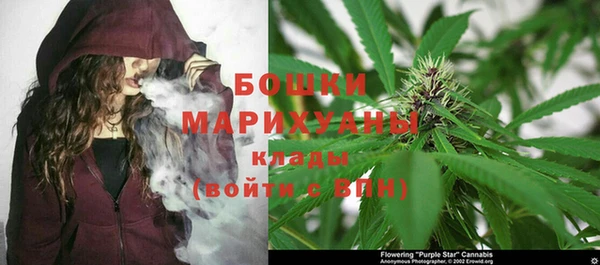 PSILOCYBIN Мегион