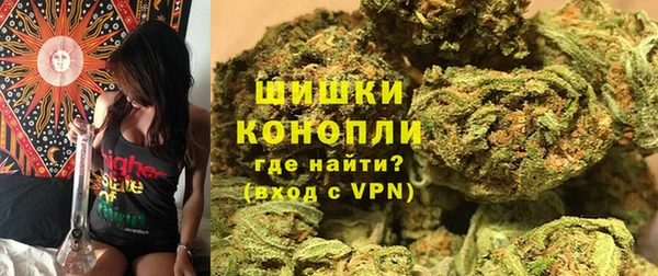 PSILOCYBIN Мегион