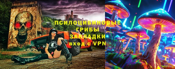 PSILOCYBIN Мегион